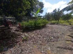 Fazenda / Sítio / Chácara com 4 Quartos à venda, 45000m² no Chacara Paraiso, Nova Friburgo - Foto 31