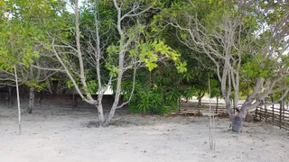 Fazenda / Sítio / Chácara com 3 Quartos à venda, 2500m² no Lagoa do Bonfim, Nísia Floresta - Foto 29