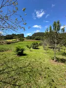 Fazenda / Sítio / Chácara com 2 Quartos à venda, 30000m² no Zona Rural, Campo Alegre - Foto 8