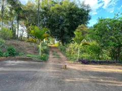 Fazenda / Sítio / Chácara com 2 Quartos à venda, 150m² no Petunia, Nova Resende - Foto 13