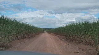 Fazenda / Sítio / Chácara com 1 Quarto à venda, 108512800m² no Zona Rural, Piracicaba - Foto 23