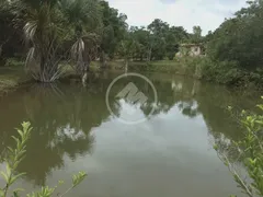 Fazenda / Sítio / Chácara com 3 Quartos à venda, 180m² no , Piracanjuba - Foto 7