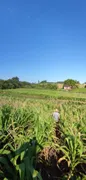 Terreno / Lote / Condomínio à venda, 20000m² no , São José do Hortêncio - Foto 3