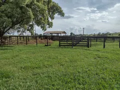 Fazenda / Sítio / Chácara com 3 Quartos à venda, 34000m² no Nova Uberlandia, Uberlândia - Foto 19