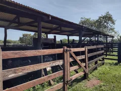 Fazenda / Sítio / Chácara à venda no Zona Rural, Rosário Oeste - Foto 2