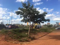 Galpão / Depósito / Armazém para alugar, 700m² no Santa Maria, Brasília - Foto 7