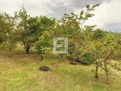 Fazenda / Sítio / Chácara com 3 Quartos à venda, 112m² no Areias de Cima Guaporanga, Biguaçu - Foto 30