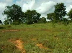 Fazenda / Sítio / Chácara à venda no , Cocos - Foto 11