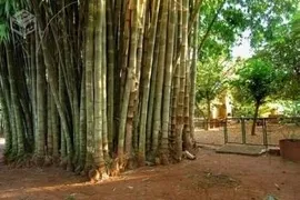 Casa de Condomínio com 5 Quartos à venda, 500m² no Recreio Internacional, Ribeirão Preto - Foto 8