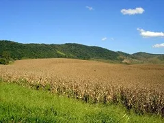 Fazenda / Sítio / Chácara com 4 Quartos à venda, 5000m² no Zona Rural, Serra Negra - Foto 14