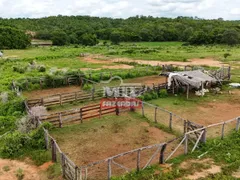Fazenda / Sítio / Chácara com 4 Quartos à venda, 4259200m² no Zona Rural, Bom Jardim de Goiás - Foto 12