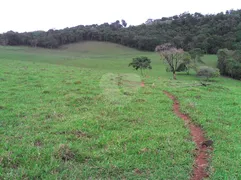 Fazenda / Sítio / Chácara com 1 Quarto à venda, 842160m² no Centro, Turvolândia - Foto 9