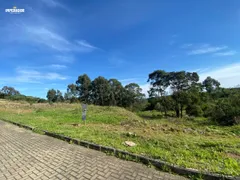 Terreno / Lote / Condomínio à venda, 1042m² no São Ciro, Caxias do Sul - Foto 4