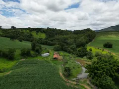 Fazenda / Sítio / Chácara com 4 Quartos à venda, 1350000m² no Zona Rural, Botelhos - Foto 9