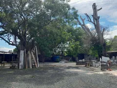 Fazenda / Sítio / Chácara com 2 Quartos à venda, 5000m² no Recreio das Acácias, Ribeirão Preto - Foto 1