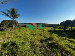 Fazenda / Sítio / Chácara com 3 Quartos à venda, 100m² no Centro, Pedras de Fogo - Foto 3