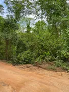 Terreno / Lote / Condomínio à venda, 12000m² no Coxipó do Ouro, Cuiabá - Foto 5