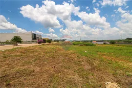 Terreno / Lote / Condomínio à venda, 290m² no Centro, Capela do Alto - Foto 11