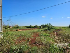 Fazenda / Sítio / Chácara com 1 Quarto à venda, 2500m² no Jardim Ouro Cola, Maringá - Foto 2