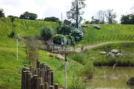 Terreno / Lote / Condomínio à venda, 750m² no Pedancino, Caxias do Sul - Foto 10