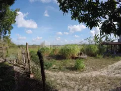 Fazenda / Sítio / Chácara com 3 Quartos à venda, 360000m² no Genipabú, Caucaia - Foto 14