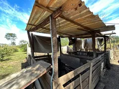 Fazenda / Sítio / Chácara com 2 Quartos à venda, 12m² no Zona Rural, Poconé - Foto 25