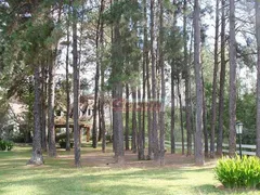 Casa de Condomínio com 3 Quartos à venda, 340m² no Novo Horizonte Hills I e II , Arujá - Foto 29