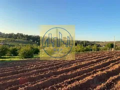 Fazenda / Sítio / Chácara com 3 Quartos à venda, 26455m² no Reforma Agraria, Valinhos - Foto 8