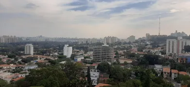 Apartamento com 4 Quartos para alugar, 278m² no Vila Madalena, São Paulo - Foto 9