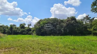 Fazenda / Sítio / Chácara com 2 Quartos à venda, 54250000m² no Zona Rural, Buritizeiro - Foto 8