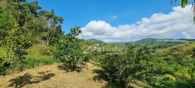 Fazenda / Sítio / Chácara com 12 Quartos à venda, 145200m² no Itapeti, Guararema - Foto 115