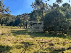 Fazenda / Sítio / Chácara à venda, 20000m² no Centro, São Joaquim - Foto 5