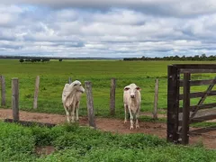 Fazenda / Sítio / Chácara à venda, 3584m² no Centro, Presidente Kennedy - Foto 2