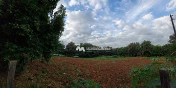 Terreno / Lote Comercial à venda, 4976m² no Vila Sao Jorge, São José do Rio Preto - Foto 10