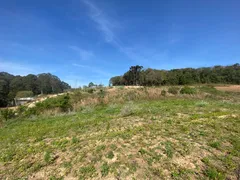 Terreno / Lote / Condomínio com 1 Quarto à venda, 5900m² no Lamenha Pequena, Curitiba - Foto 15