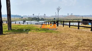 Fazenda / Sítio / Chácara com 2 Quartos à venda, 39370000m² no Vista Alegre do Abuna, Porto Velho - Foto 38