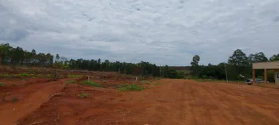 Fazenda / Sítio / Chácara à venda, 1000m² no Centro, Aragoiânia - Foto 21