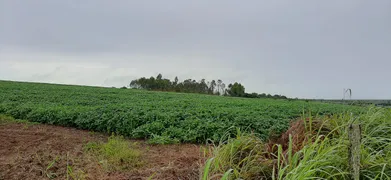 Fazenda / Sítio / Chácara à venda, 115000m² no Paranoá, Brasília - Foto 31