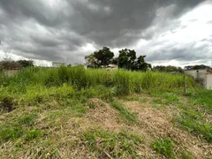 Terreno / Lote / Condomínio com 1 Quarto à venda, 360m² no Braúnas, Belo Horizonte - Foto 4