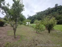 Fazenda / Sítio / Chácara com 3 Quartos à venda, 21000m² no Centro, Biritiba Mirim - Foto 12