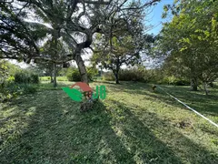 Fazenda / Sítio / Chácara com 3 Quartos à venda, 70000m² no Povoado, Pedras de Fogo - Foto 15