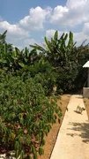 Fazenda / Sítio / Chácara com 3 Quartos à venda, 450m² no Jardim Nova Ipelandia, Suzano - Foto 14