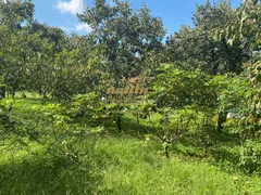 Fazenda / Sítio / Chácara com 4 Quartos à venda, 230m² no MOMBUCA, Itatiba - Foto 19