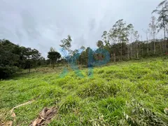 Fazenda / Sítio / Chácara com 3 Quartos à venda, 80m² no Zona Rural, São Sebastião do Oeste - Foto 21