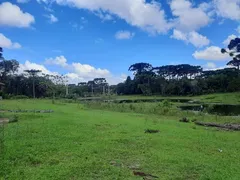 Terreno / Lote / Condomínio à venda no Contenda, São José dos Pinhais - Foto 10