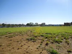 Casa de Condomínio com 4 Quartos à venda, 267m² no Residencial Ana Dorothea, Franca - Foto 31