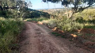 Fazenda / Sítio / Chácara com 1 Quarto à venda, 145200m² no Centro, Turvolândia - Foto 20