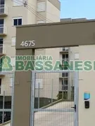 Apartamento com 2 Quartos à venda, 60m² no Sao Virgilio, Caxias do Sul - Foto 3