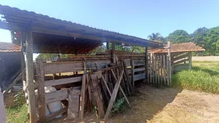 Fazenda / Sítio / Chácara com 3 Quartos à venda, 24200m² no Vale Santa Felicidade, São Carlos - Foto 68