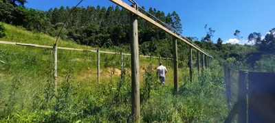 Fazenda / Sítio / Chácara à venda, 530000m² no , Anitápolis - Foto 17